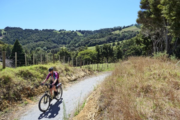 Twin Coast Cycle Trail Okaihau to Horeke image 5 credit bennettandslater.co.nz