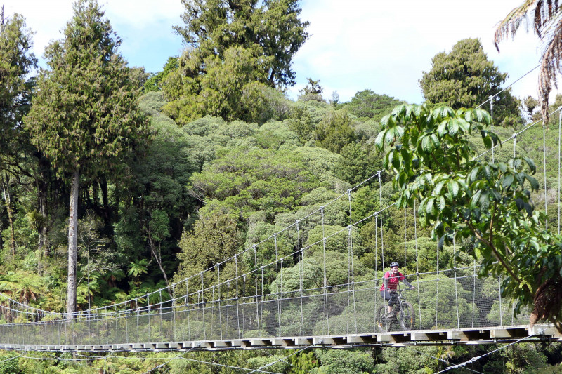 Timber Trail Suspension Bridge bennettandslater.co.nz