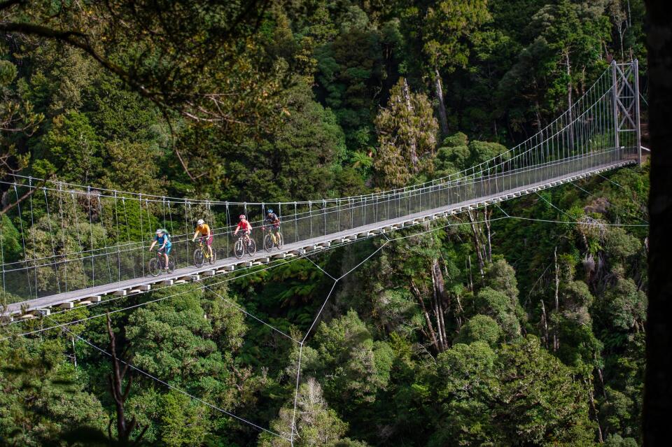 Timber Trail suspension bridge Credit StudioZag v2.com