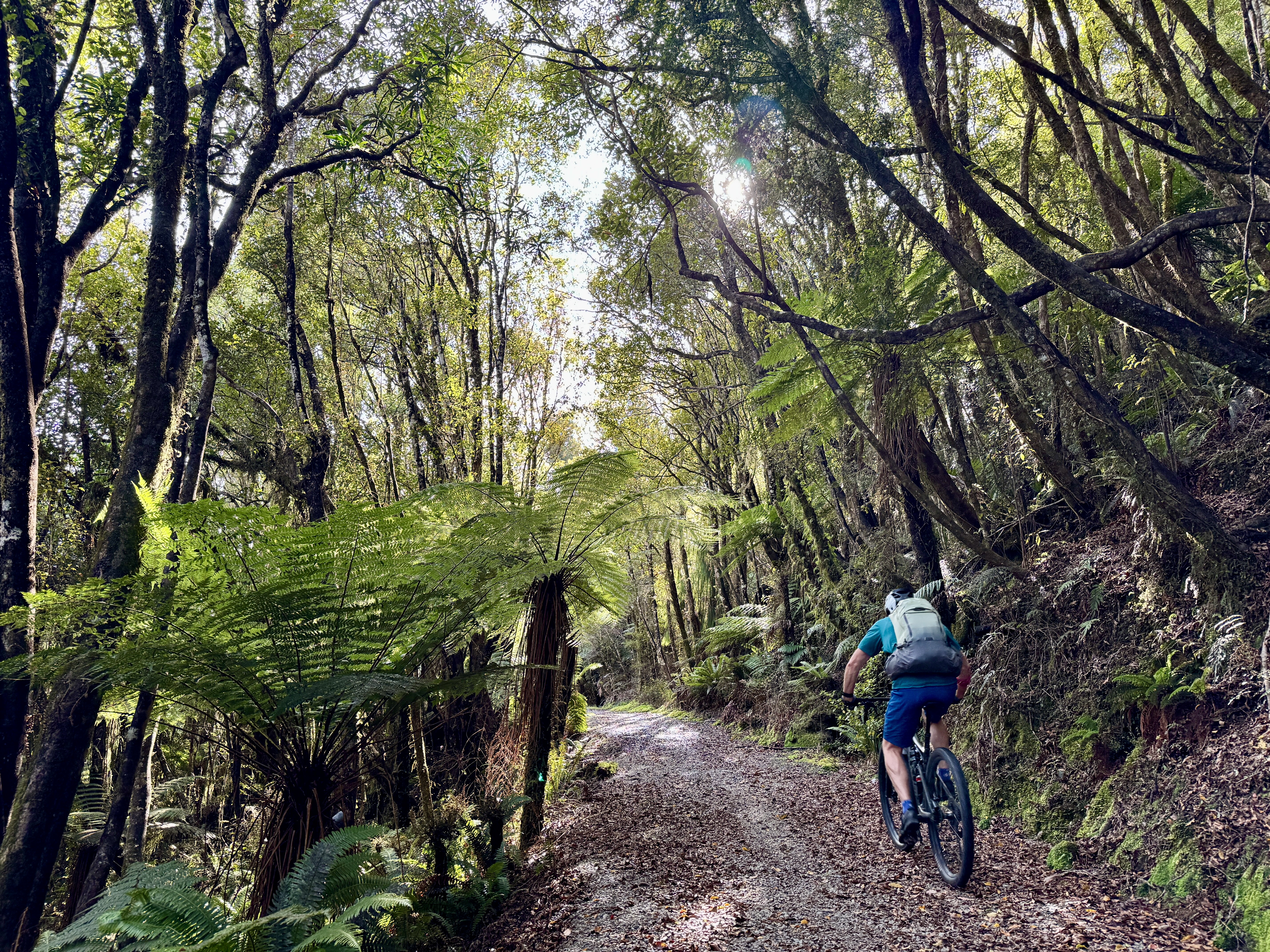 WCWT Photo Tracey Croke WCWT