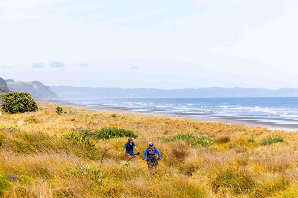 JTPIX 111224Motu 5439 v2